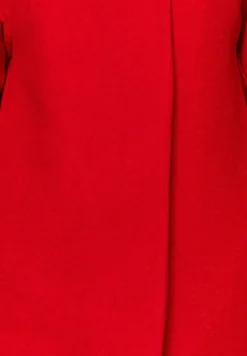 Bedrijf - Manteau Classique|Trendyol Flash Sale