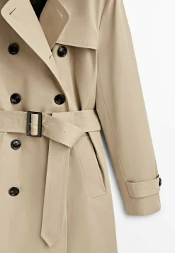 Belt - Trench|Massimo Dutti Clearance